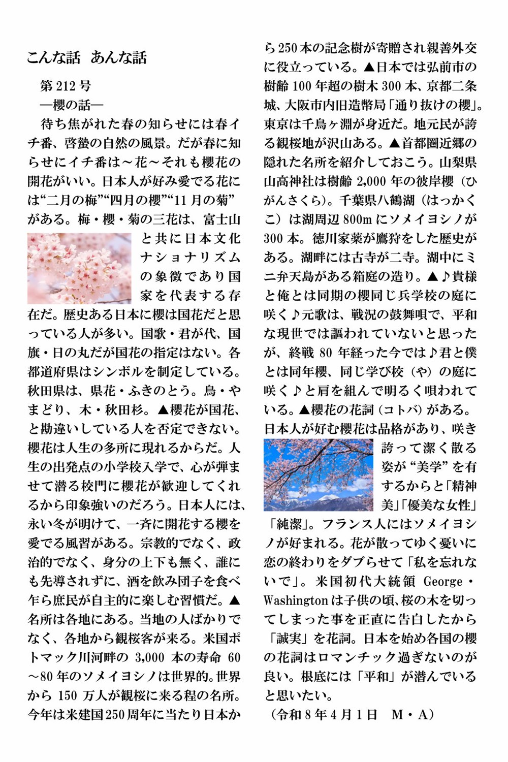 赤池三男 こんな話 あんな話 第212号「櫻の話」原文