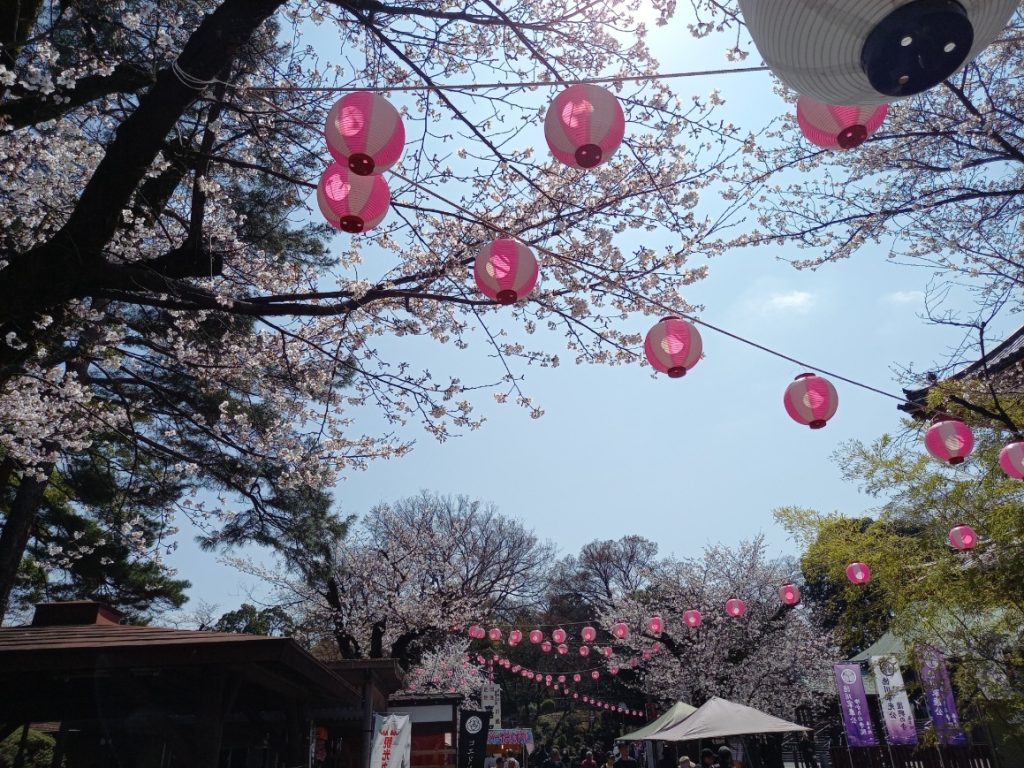 喜多院の桜